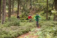 Mountainbike-Tour im Naturpark Oberer Bayerischer Wald