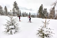 ARBERLAND, Bayerischer Wald, Wintersport, Skilanglauf 