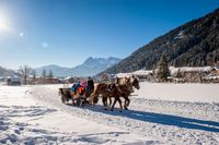 Pferdekutsche im Winter in den Bergen, Tourismusverband Werfenweng