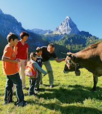 Kühe, Alm, Familienurlaub, Allgäu, Halblech
