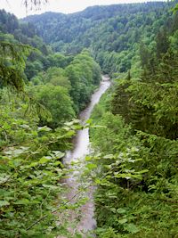 Wutachschlucht, Südschwarzwald, größter Canyon Deutschlands, Wasserfälle, Wildbäche 