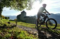 Liechtenstein Marketing; Radfahrer in der Natur