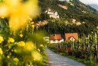 Liechtenstein Marketing; Schloss in der Natur