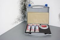 Schimmelflecken, Power Protect First-Aid-Kit, Remmers