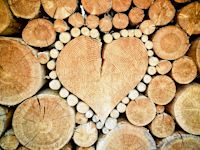 Holzbauweise, Fertighaus, Allkauf, nachhaltiges Bauen