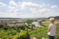 Aussicht auf den Neckar