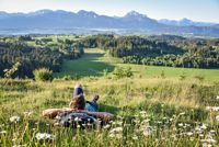 Almwiese mit Aussicht auf die Berge und das Tal, Südliches Allgäu