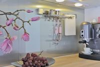 Küchenzeile mit Kaffeemaschine, Trauben und Magnolie, Effektplatten, Gutta