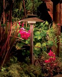 Rainpro; Garten mit Beleuchtung