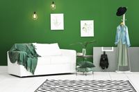 Wohnzimmer mit grüner Wandfarbe, Erfurt