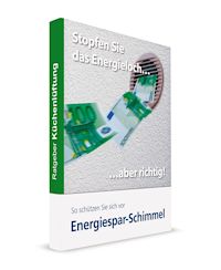 Energiesparratgeber, Buch, Weibel