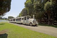 Minibahn fährt durch Landschaft, I.D. Riva Tours