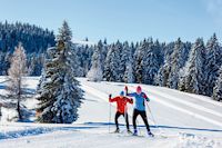 Langläufer, Schneelandschaft mit Langläufern, Loipen, Baden-Württemberg