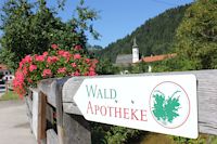 Aschau im Chiemgau, Bayern, Themenweg „Die Waldapotheke“, wandern, Chiemsee-Alpenland
