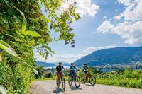 Radfahrer auf dem Radweg in der Natur, Region Villach, Kärnten