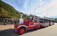 Stadtrundfahrt mit einer Bimmelbahn, Liechtenstein Marketing