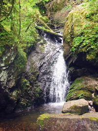 Wasserfall im Wald, wandern, Natur erleben, Bonndorf