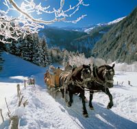 Pferdeschlitten im Schnee, Großarltal, Ski amadé