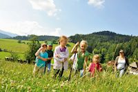 Bergwiese, Kinder, Wildwiese, Baden-Württemberg, Urlaub auf dem Bauernhof