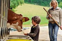 Kinderferien, Kühe füttern, Baden-Württemberg, Urlaub auf dem Bauernhof