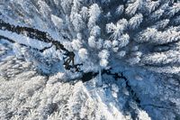 Winterwald aus Vogelperspektive, winterlicher Wald von oben, Ferienregion Nationalpark Hohe Tauern