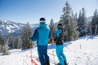 Winterurlaub, Wintersport, Skifahren, Natur, Schneespaß, Winter, Hörnerdörfer
