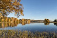 Finnlines, Schweden im Herbst