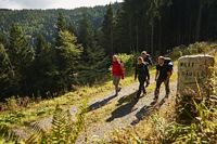Gruppe wandert im Nördlichen Schwarzwald