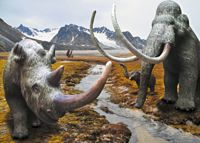 Sonderausstellung „Giganten der Eiszeit“, Artenvielfalt, Ausstellung, Mammut, Säbelzahnkatzen, Wollnashorn, Dinosaurier-Park Münchehagen