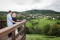 Bad Schlema, Erzgebirge, Aussicht, Plattform, Natur, Wiesen
