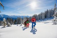 Winter, Winterurlaub, Schneespaß, Schneeschuhe, Schneeschuhtour, Natur, Hörnerdörfer